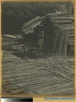 藏品(臺南州斗六郡清水溪桂竹筏採作業之景)的圖片